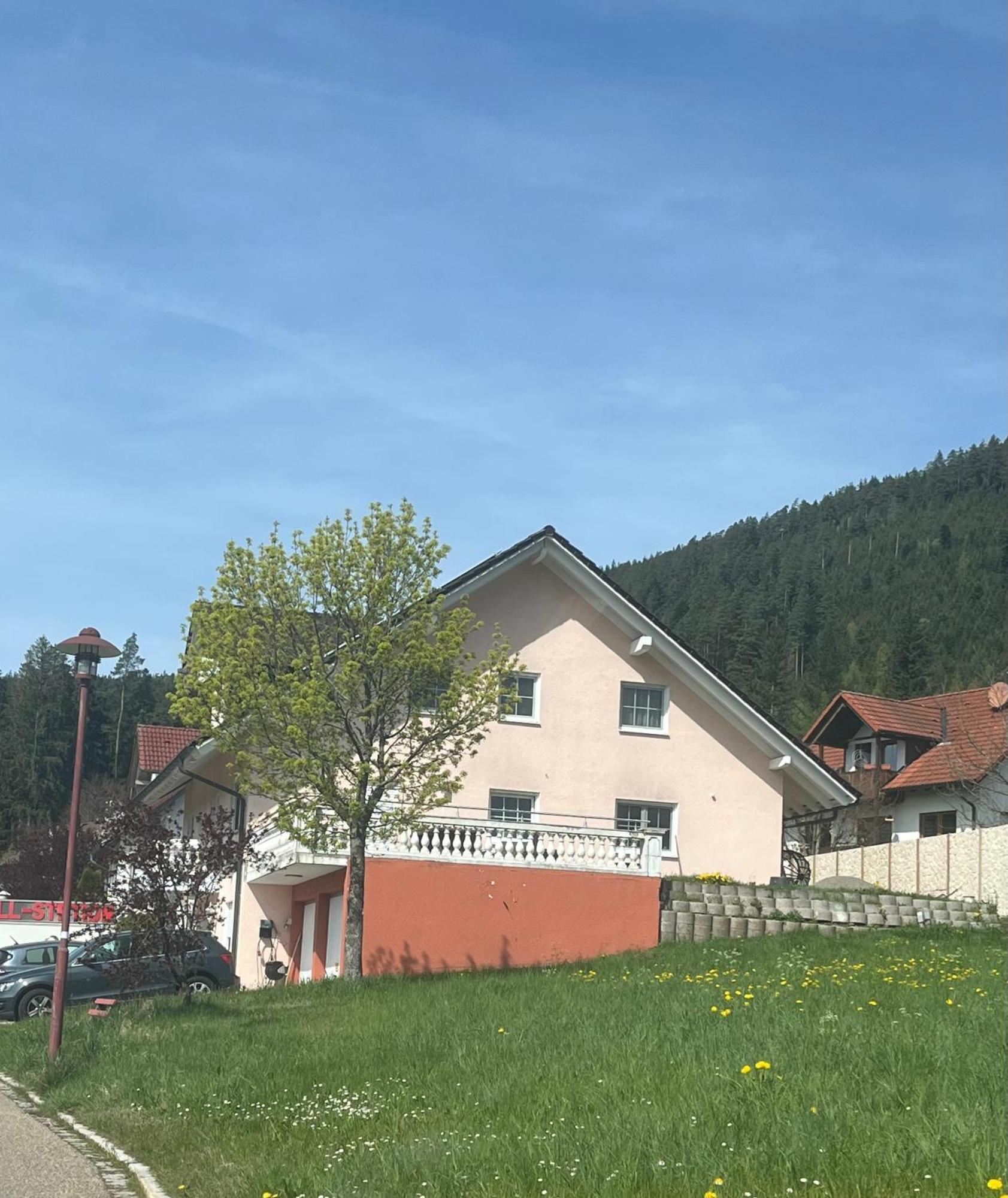 Angelina Apartment Baiersbronn Exterior photo